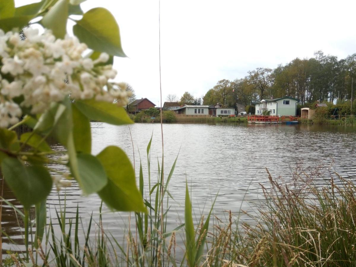 Agroturystyka Nad Morzem Zieleniewo  エクステリア 写真